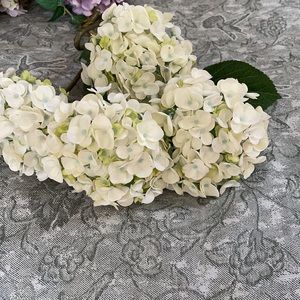 Decorative hydrangeas.